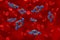 Monoclonal antibodies (Adalimumab) - isometric view 3d illustration
