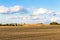 Monoculture Corn Fields of Indiana