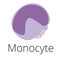 Monocyte, a white blood cell, illustration