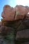 Monolithic blocks of pink granite in the Cotes d\'Armor in Brittany, France