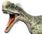 Monolophosaurus side close head