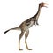 Mononykus dinosaur standing - 3D render
