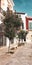 Monopoli  Italy - September 22  2019: Piazza Giuseppe Garibaldi with trees in blossom and traditional houses.