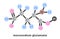 Monosodium glutamate structure vector