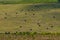 Monoszlo country side aerial view. Hungarian summer rural landscape