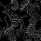 Monotone black and white summer night Outline hand drawing Exotic leaves seamless pattern.