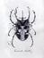 Monotype horned beetle black