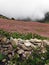 Monsoon Clouds Covering a Himalayan Buckwheat Field