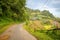 A monsoon degraded road among mountains and green forests, Asia, Vietnam, Tonkin, Bac Ha, towards Lao Cai, in summer on a sunny