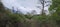 monsoon forest in Baluran National Park, Banyuwangi, East Java