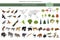 Monsoon forest biome, natural region infographic. Terrestrial ecosystem world map. Animals, birds and vegetations isometric design