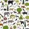 Monsoon forest biome, natural region seamless pattern. Terrestrial ecosystem world map. Animals, birds and vegetations design set