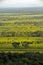 Monsoon landscape of North Goa state of India