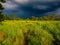 Monsoon Storm in Chitwan, Nepal