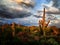 Monsoon Sunset in the Sonoran Desert