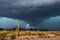 Monsoon thunderstorm with dramatic clouds over the Arizona desert.