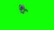 Monster Cougar Jump Attack Top Green Screen 3D Rendering Animation