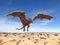 Monster dragon on desert is taking off