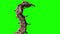 Monster Giant Centipede Attack Back Green Screen 3D Rendering Animation