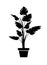 Monstera black silhouette vector illustration. Houseplant in pot