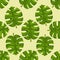 Monstera Deliciosa or Swiss Cheese Plant Leaf on Seamless Pattern