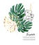 Monstera hand-drawn watercolor illustration with gold foil sparkles. Modern split-leaf Philodendron plant isolated on