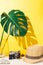Monstera leaf in a glass vase, an old camera, money and a straw hat on a yellow background. Tourism and travel concept