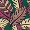 Monstera leaf pattern in green and braun colors