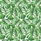 Monstera leaf pattern. Seamless watercolor herbal pattern with tropical leaves for textile, souvenirs design