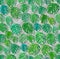 Monstera pattern seamless. Palm leaves background. Tropical texture