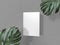 Monstera plant leaf tree green natural decoration ornament book note white mock up blank empty office art paper on wallpaper