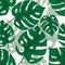 Monstera seamless beckground. Tiled green jungle pattern. Vector