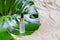 Monstera tropical leaf and cosmetic hydrating serum in a glass bottle with pipette close up. Hyaluronic acid on abstract