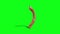 Monstrous Alien Worms Idle Front Green Screen 3D Rendering Animation