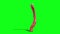 Monstrous Alien Worms Idle Green Screen 3D Rendering Animation