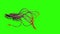 Monstrous Hooked Tentacles Attack Side Green Screen 3D Rendering Animation