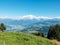 The Mont-blanc from an alpine pasture, France