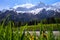 Mont Blanc Mountain covered with snow in spring. Amazing panorama with snow avalanche of French Alps through the green grass in th
