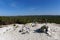 Mont-Blanc sand hill  in the Fontainebleau forest