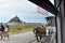 MONT SAINT-MICHEL, FRANCE - JULY 3, 2017: Tourists can choose different means of transportation, walking, bus or horse-drawn