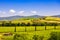 Montalcino countryside, vineyard, cypress trees and green fields