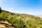 Montalcino view, tuscany, Italy