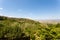 Montalcino view, tuscany, Italy