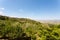 Montalcino view, tuscany, Italy