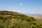 Montalcino view, tuscany, Italy