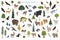 Montane forest biome, natural region infographic. Isometric version. Terrestrial ecosystem world map. Animals, birds and