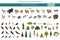 Montane forest biome, natural region infographic. Isometric version. Terrestrial ecosystem world map. Animals, birds and