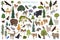 Montane forest biome, natural region infographic. Isometric version. Terrestrial ecosystem world map. Animals, birds and