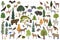 Montane forest biome, natural region infographic. Terrestrial ecosystem world map. Animals, birds and vegetations ecosystem design