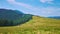 Montane meadow Polonyna Khomyak, Gorgany Range, Bukovel, Carpathians, Ukraine